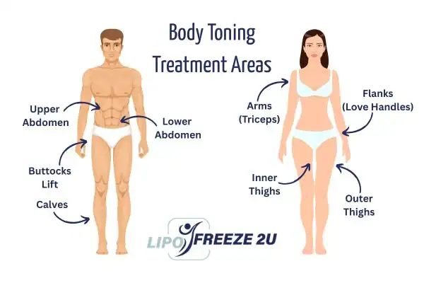 Graphic showing where you can have Body toning Treatment Welwyn Garden City on your body